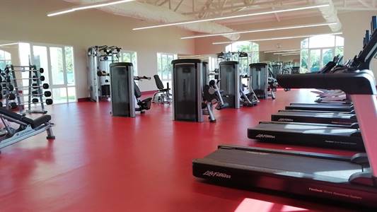 WhatsApp Image 2020-09-04 at 08.38.37.jpeg